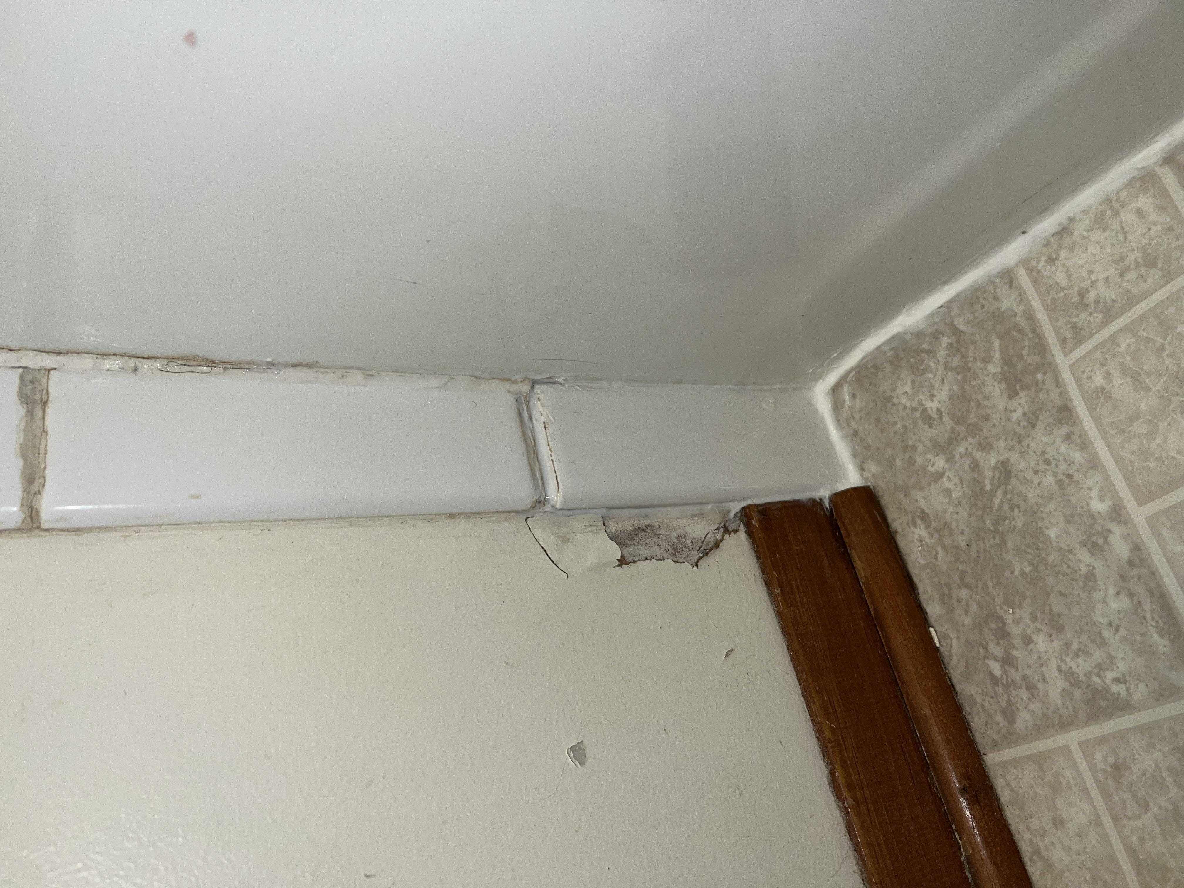 Tile Repair After